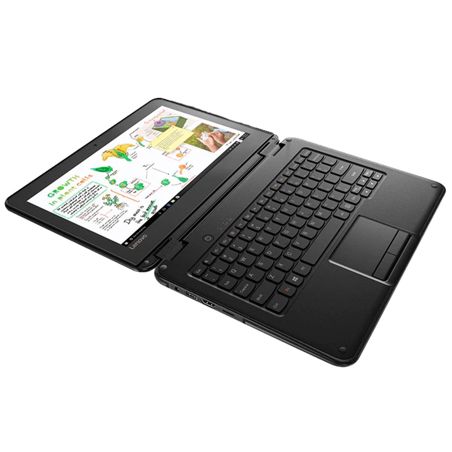 Lenovo N24 Winbook - 11.6" touchscreen laptop - Intel Pentium N4200